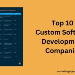 top custom Software Development Companies