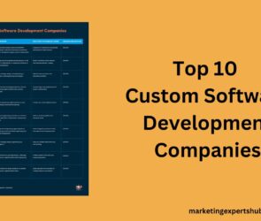 top custom Software Development Companies